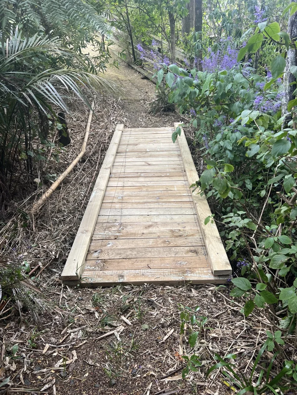Rebuilt timber walkway through established planting