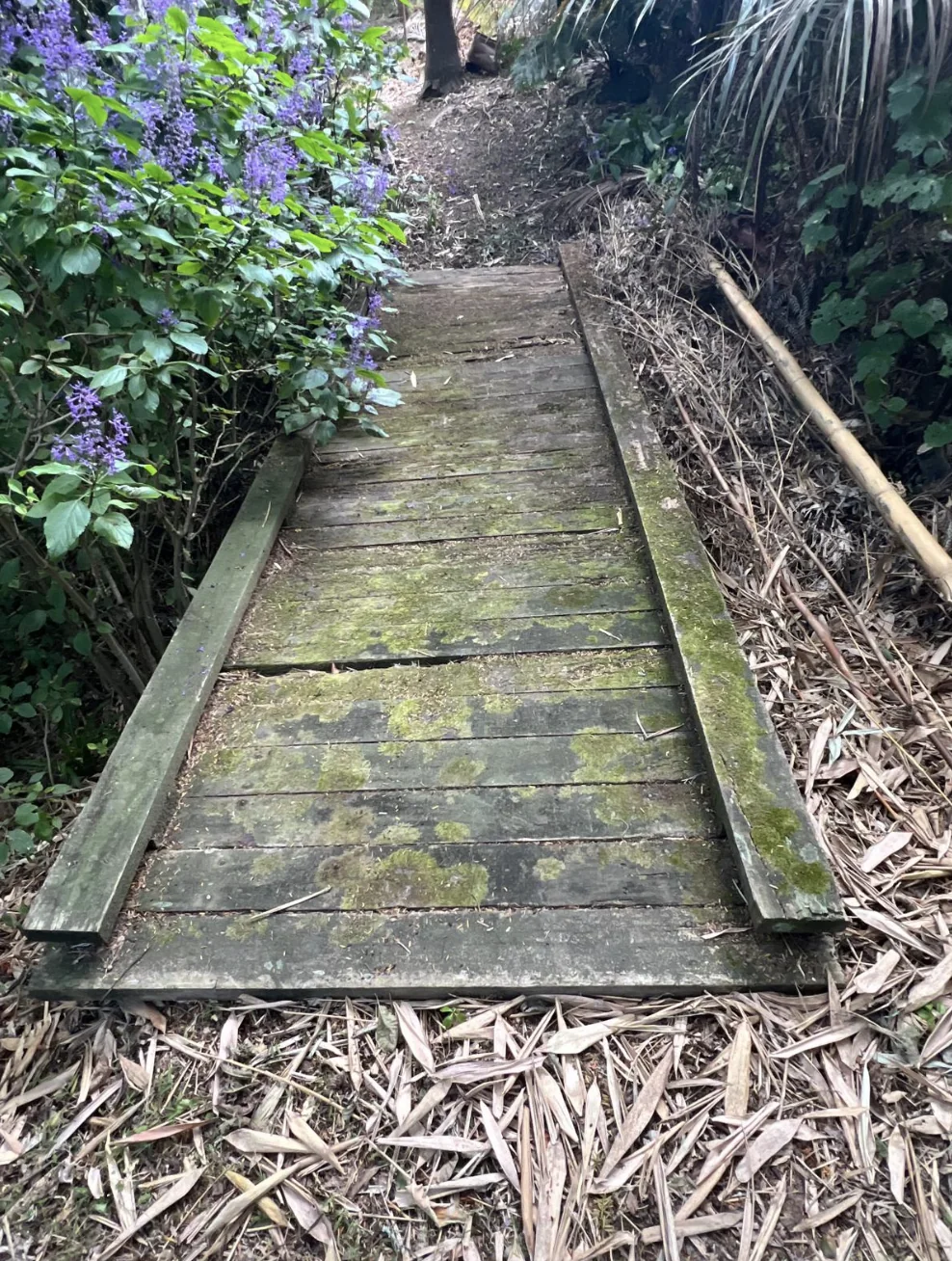 Weathered moss-covered timber walkway before repair